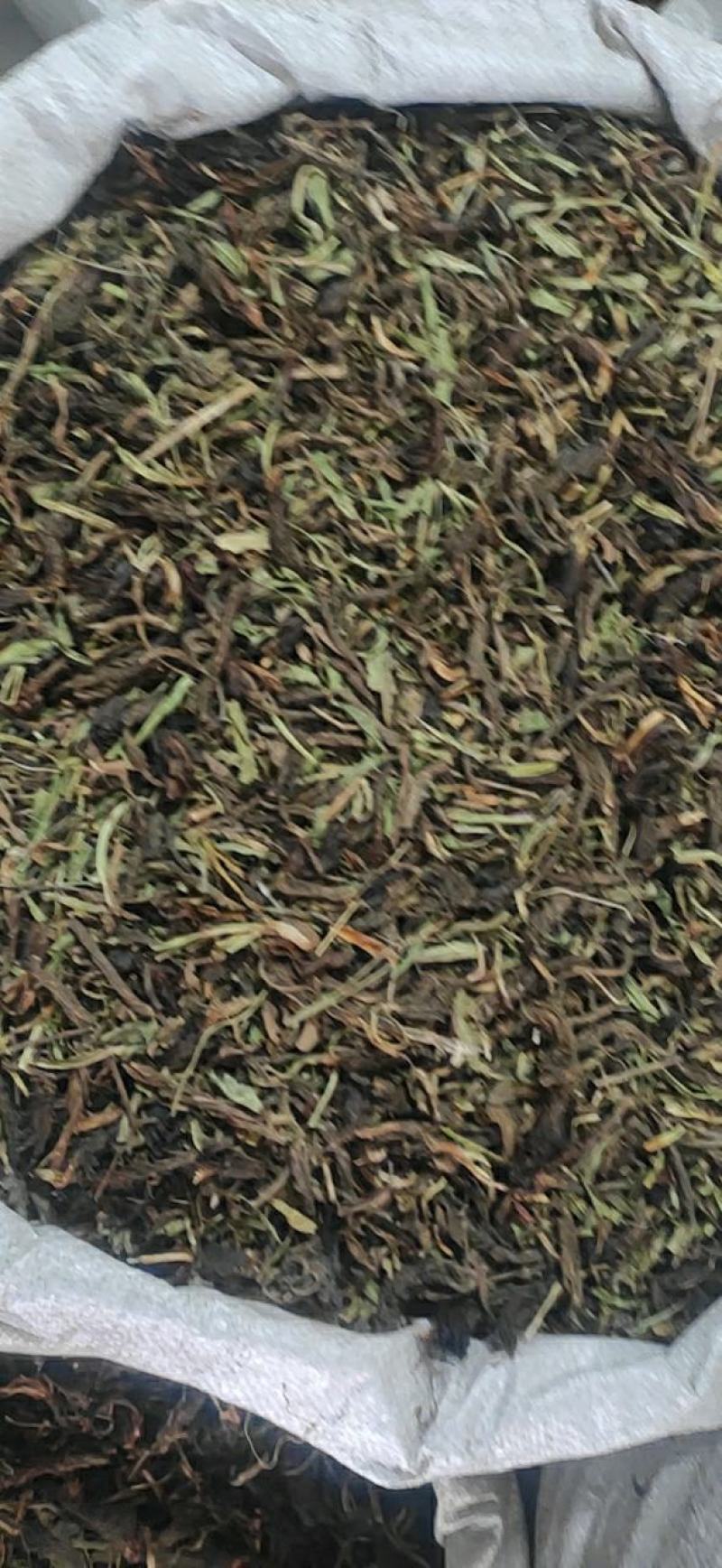 甘松干货甘松中药材常年经营各种中药材欢迎选购！