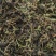 甘松干货甘松中药材常年经营各种中药材欢迎选购！