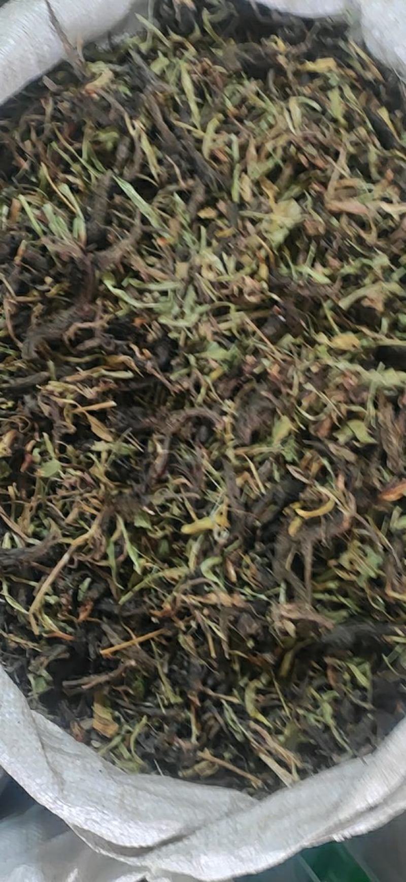 甘松干货甘松中药材常年经营各种中药材欢迎选购！