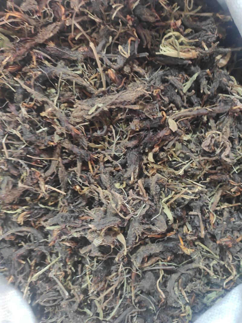 甘松干货甘松中药材常年经营各种中药材欢迎选购！