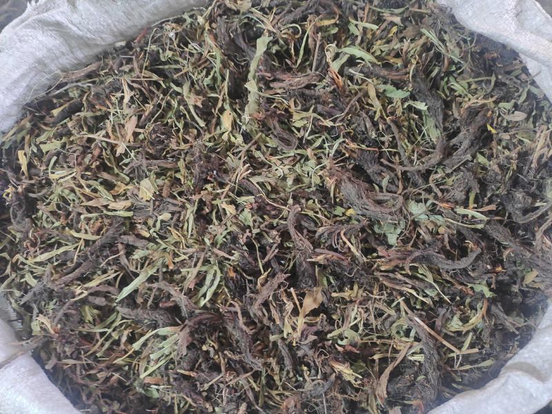 甘松干货甘松中药材常年经营各种中药材欢迎选购！