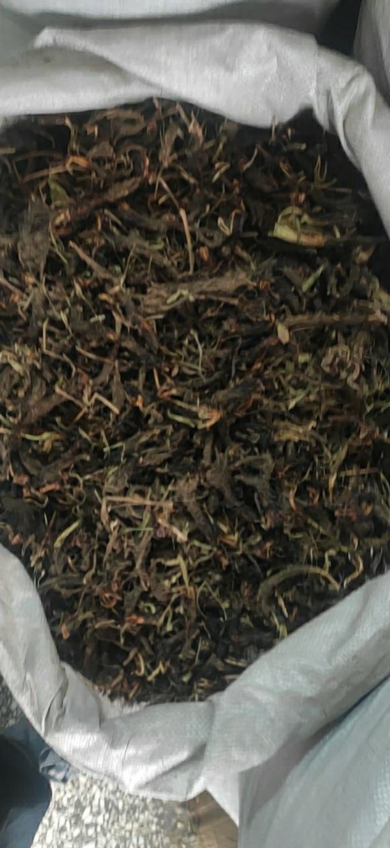 甘松干货甘松中药材常年经营各种中药材欢迎选购！