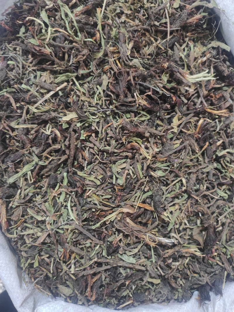 甘松干货甘松中药材常年经营各种中药材欢迎选购！