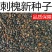 刺槐种子刺槐树籽新采洋槐树种子白花槐种子槐树