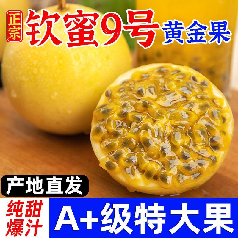 钦蜜9号黄金百香果新鲜现摘现发一件代发可日发万单