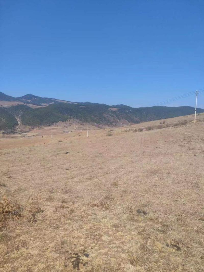 山地
