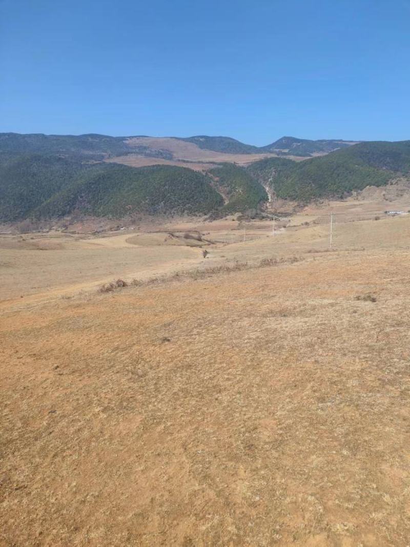 山地