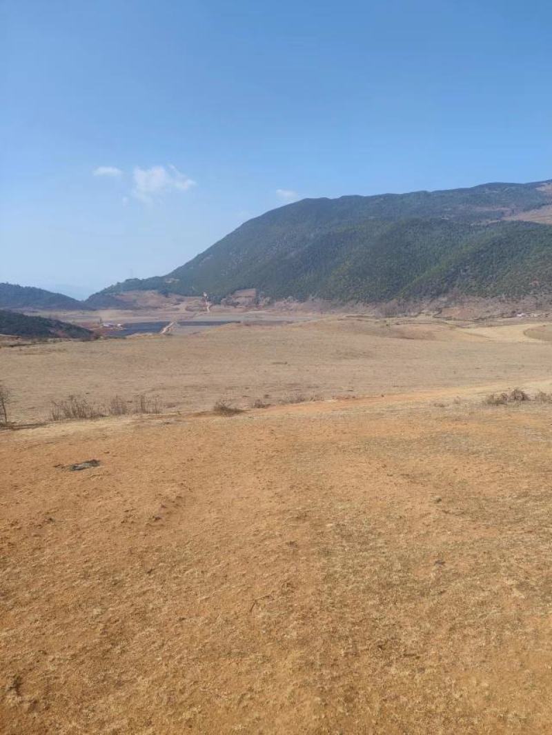 山地