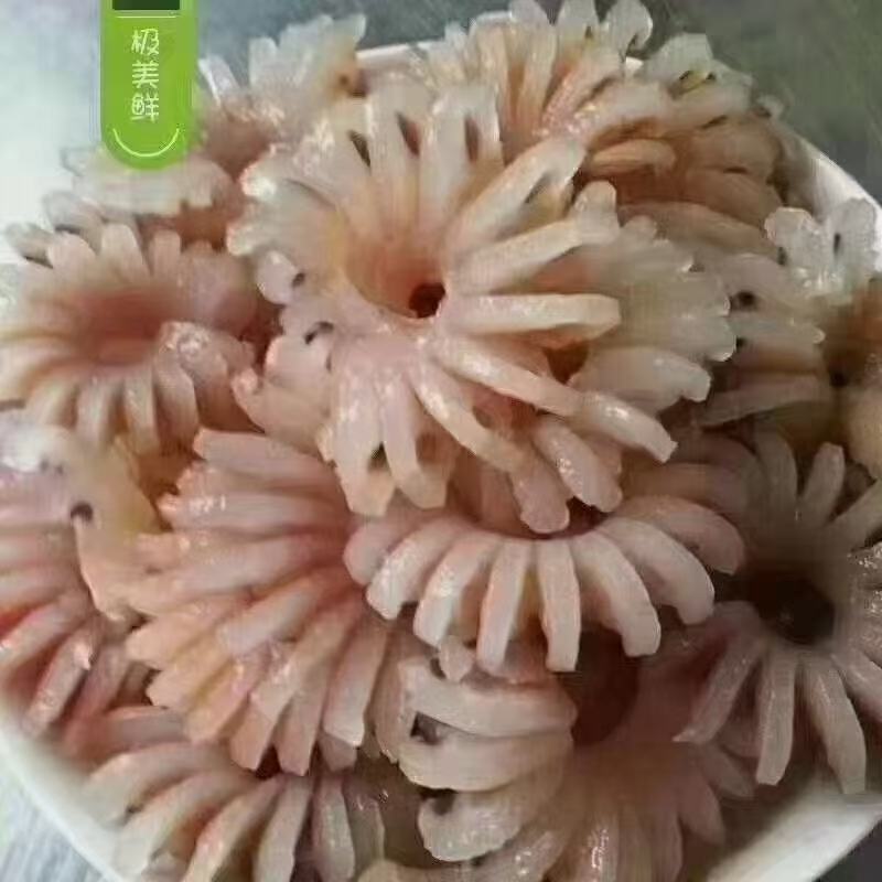 牛鞭花，货源稳定充足，全国冷链物流发货！！！！！！！！！
