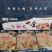 牛鞭花，货源稳定充足，全国冷链物流发货！！！！！！！！！
