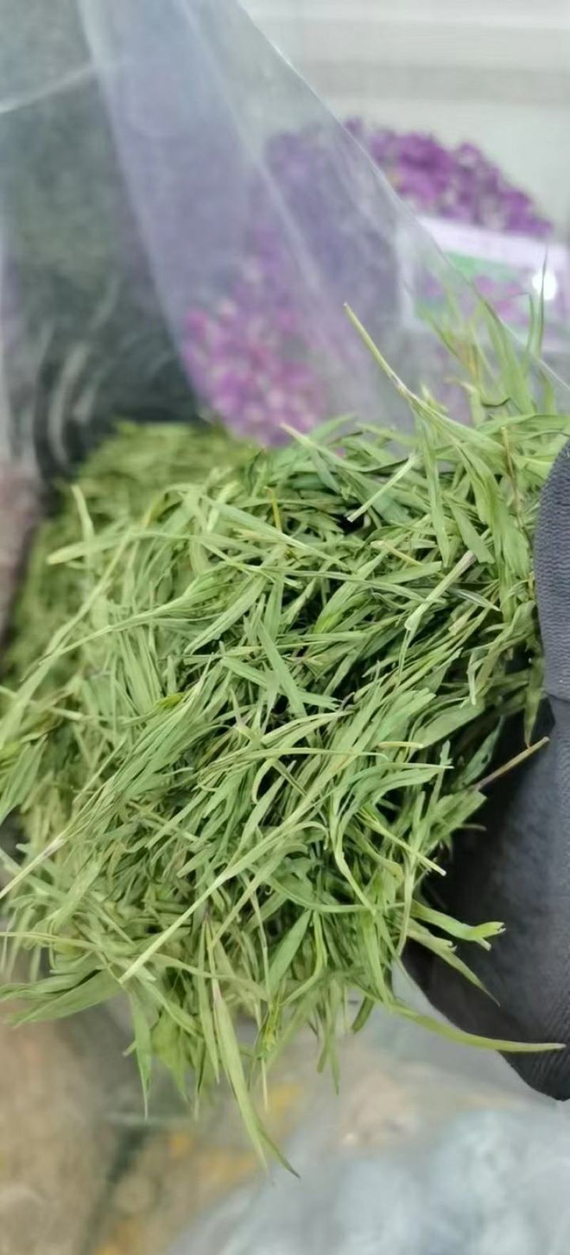 竹叶干货石竹叶颜色绿欢迎选购！量大从优！