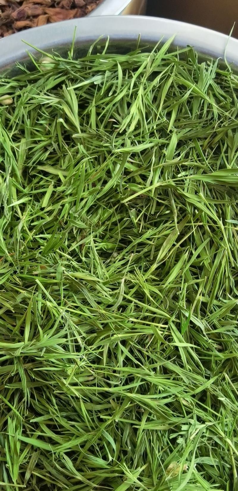 竹叶干货石竹叶颜色绿欢迎选购！量大从优！