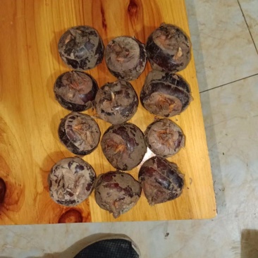 广西贺州马蹄原产地批发大量供应个头大画渣欢迎订购