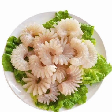 牛鞭花现货，货源稳定，充足，一手货源，全国发货！！！！！