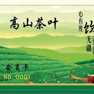 24年的茶树冬茶非常好厂家直销性价比很高