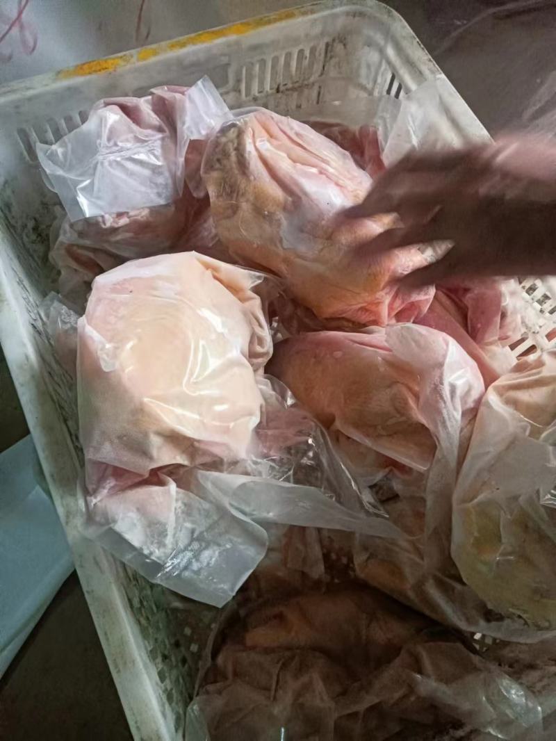 童子装袋加工，来料速封。三黄鸡，童子鸡