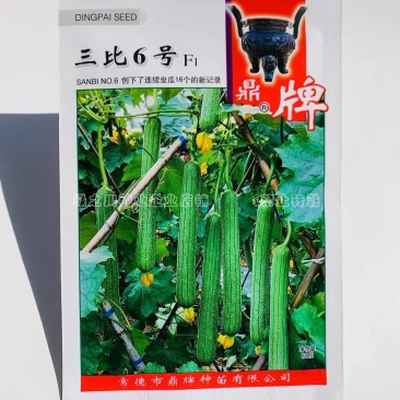鼎牌三比6号丝瓜种子肉白特早熟长香丝瓜种籽连续坐瓜能力强