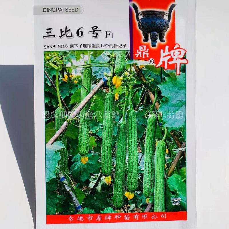 鼎牌三比6号丝瓜种子肉白特早熟长香丝瓜种籽连续坐瓜能力强