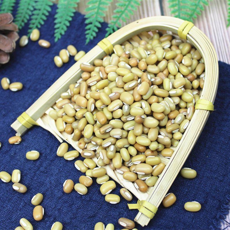 新货竹豆