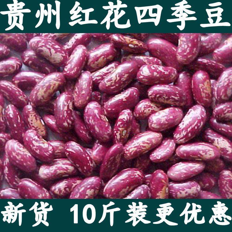 10斤贵州四季豆红花豆四季豆芸豆红花四季豆