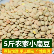 新小扁豆甘肃特产农家新鲜扁豆兵豆扁豆子可生豆子五谷杂粮