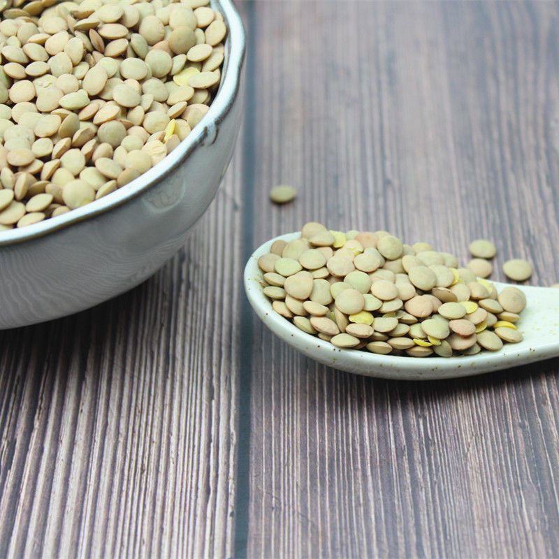 新小扁豆甘肃特产农家新鲜扁豆兵豆扁豆子可生豆子五谷杂粮