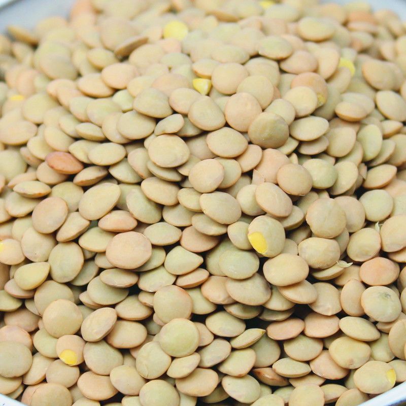 新小扁豆甘肃特产农家新鲜扁豆兵豆扁豆子可生豆子五谷杂粮