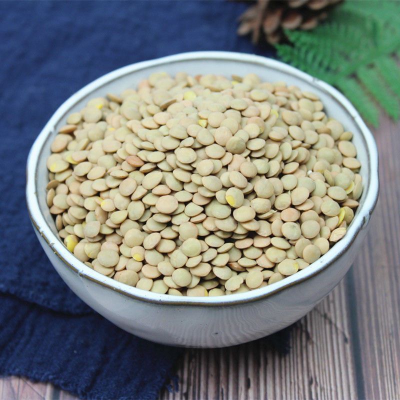新小扁豆甘肃特产农家新鲜扁豆兵豆扁豆子可生豆子五谷杂粮