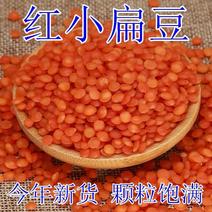 红扁豆5斤/250g包邮新货红小扁豆番茄红扁豆小扁