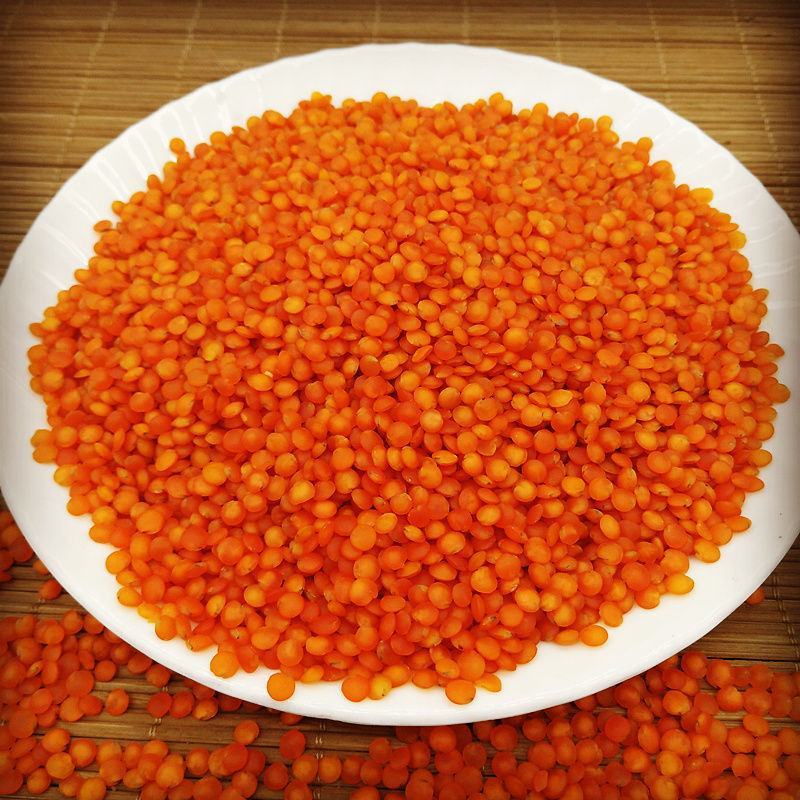 红扁豆5斤/250g包邮新货红小扁豆番茄红扁豆小扁