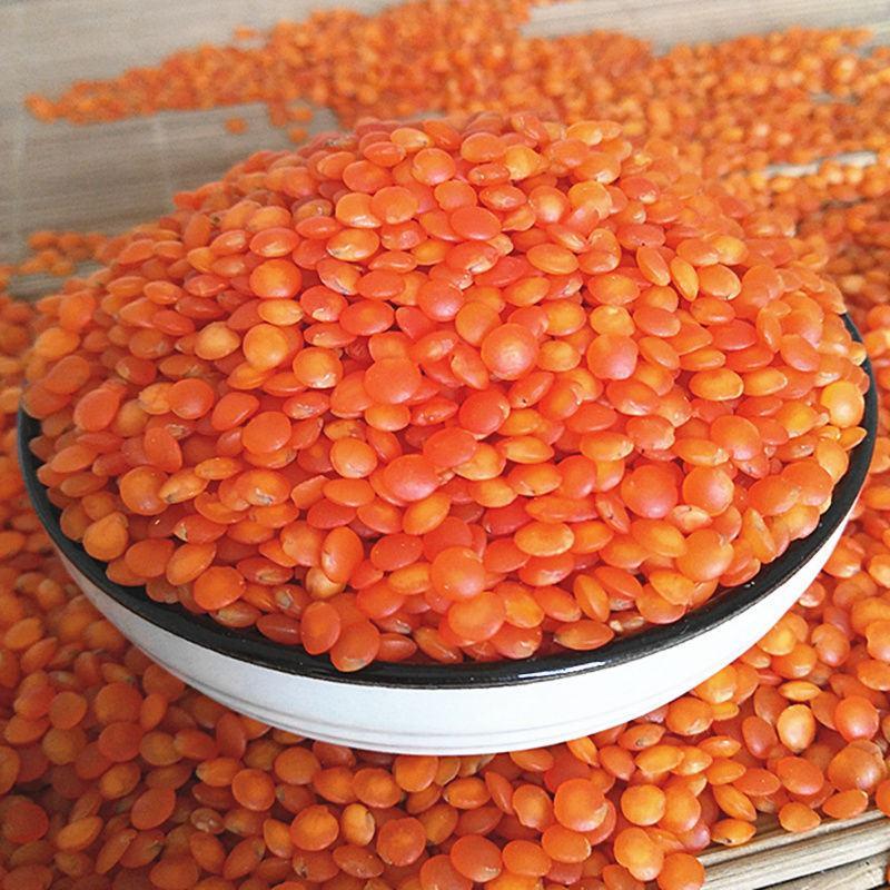 红扁豆5斤/250g包邮新货红小扁豆番茄红扁豆小扁