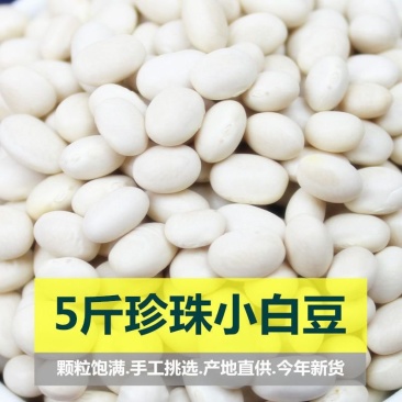 新货珍珠豆今年新货小雪豆小芸豆小白豆炖菜煲汤打豆浆豆类