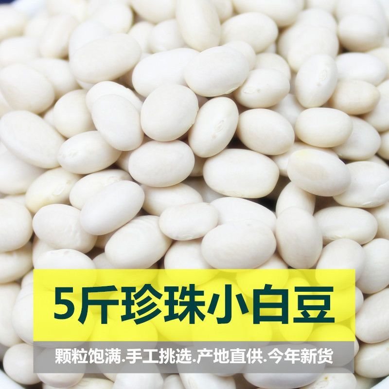 新货珍珠豆今年新货小雪豆小芸豆小白豆炖菜煲汤打豆浆豆类