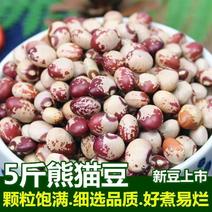 新熊猫豆新货农家自产奶小花芸豆猫眼豆花缸豆饭豆豆江豆