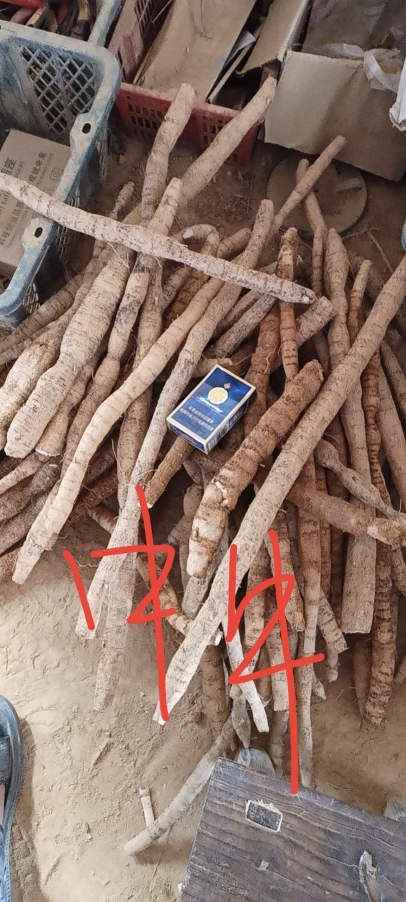 新鲜粉质大叶牛大力，各种规格长期有货，质优价美！