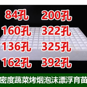 育苗盘常年供应