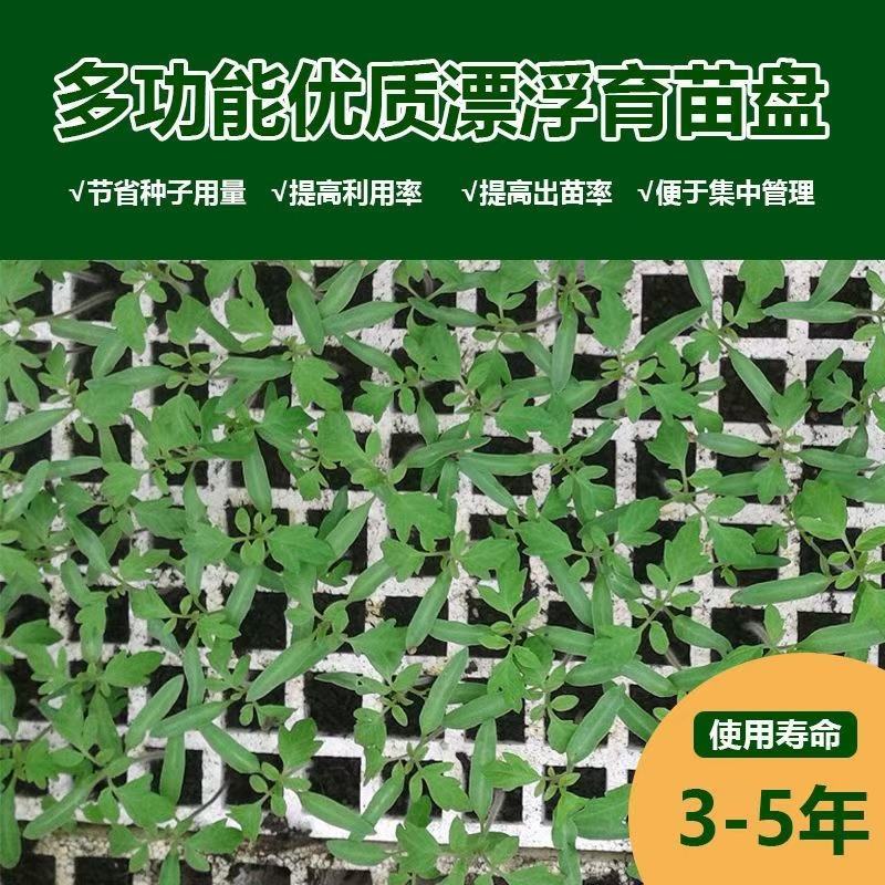 育苗盘常年供应