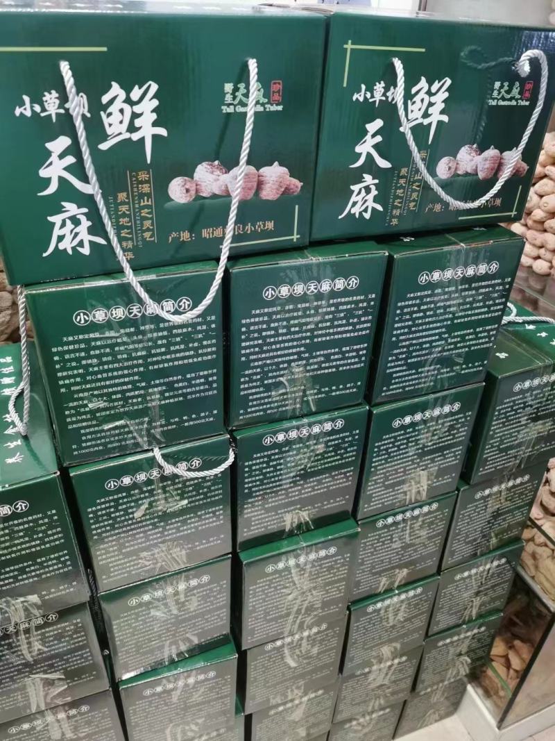 昭通小草坝天麻