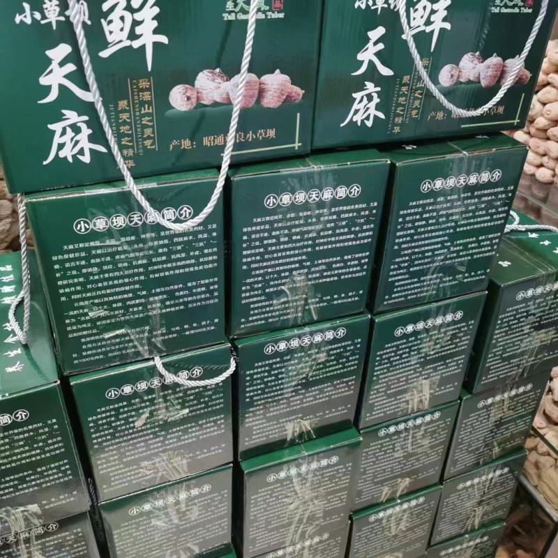 昭通小草坝天麻