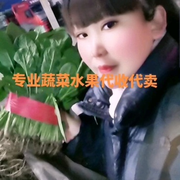 精品菠菜