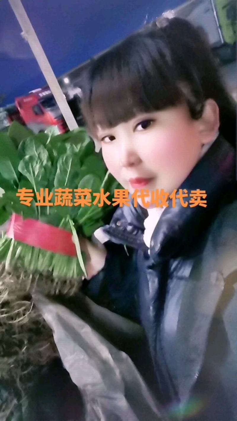 精品菠菜