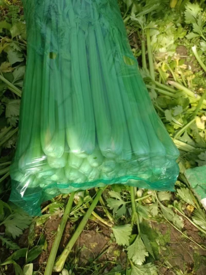 芹菜