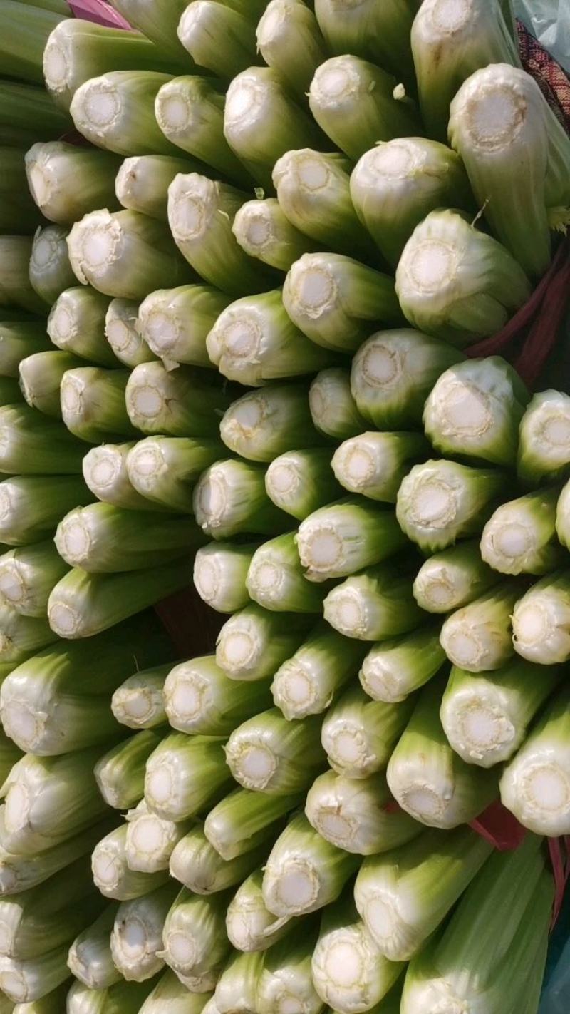 芹菜