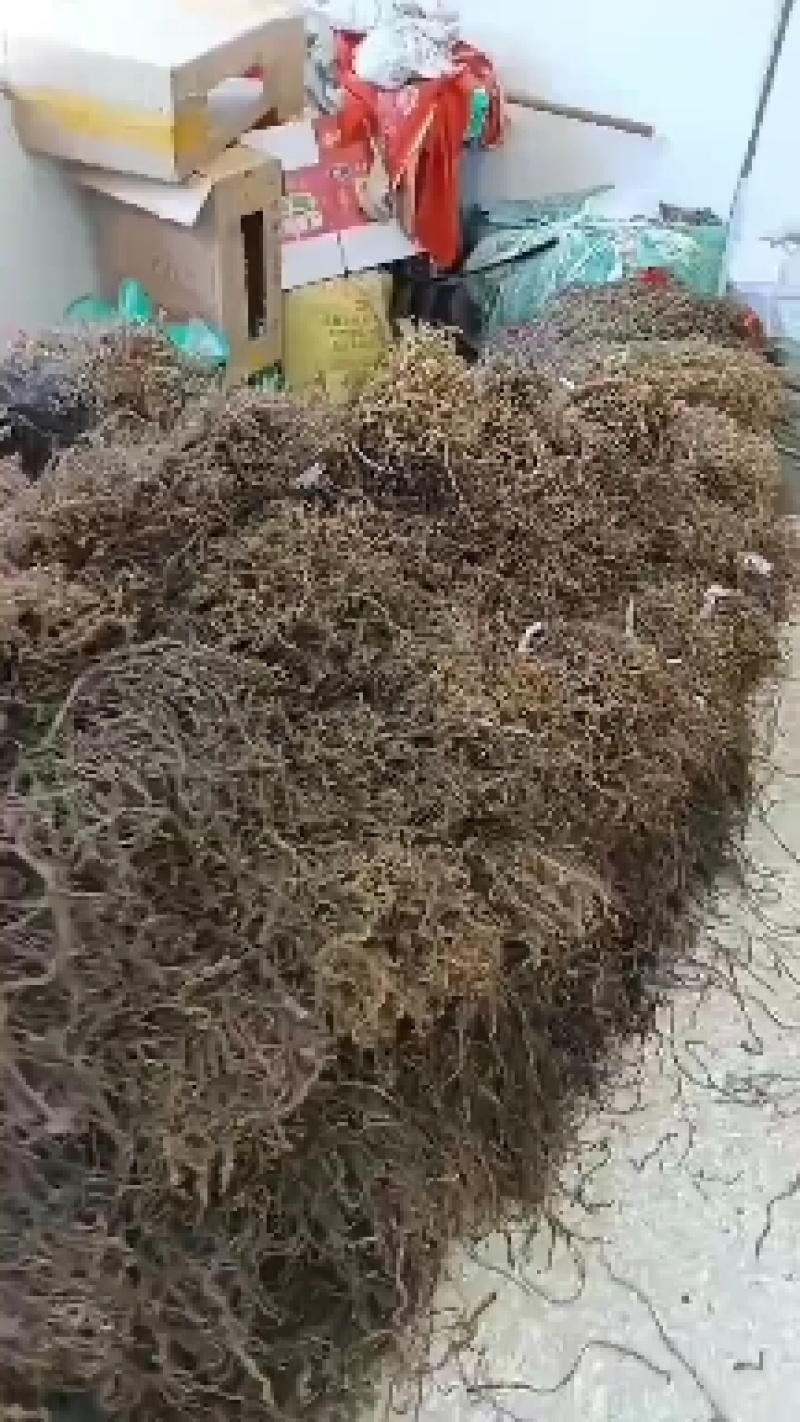 亳州特产干豆角，纯晒干无任何添加剂，产地直发量大从优
