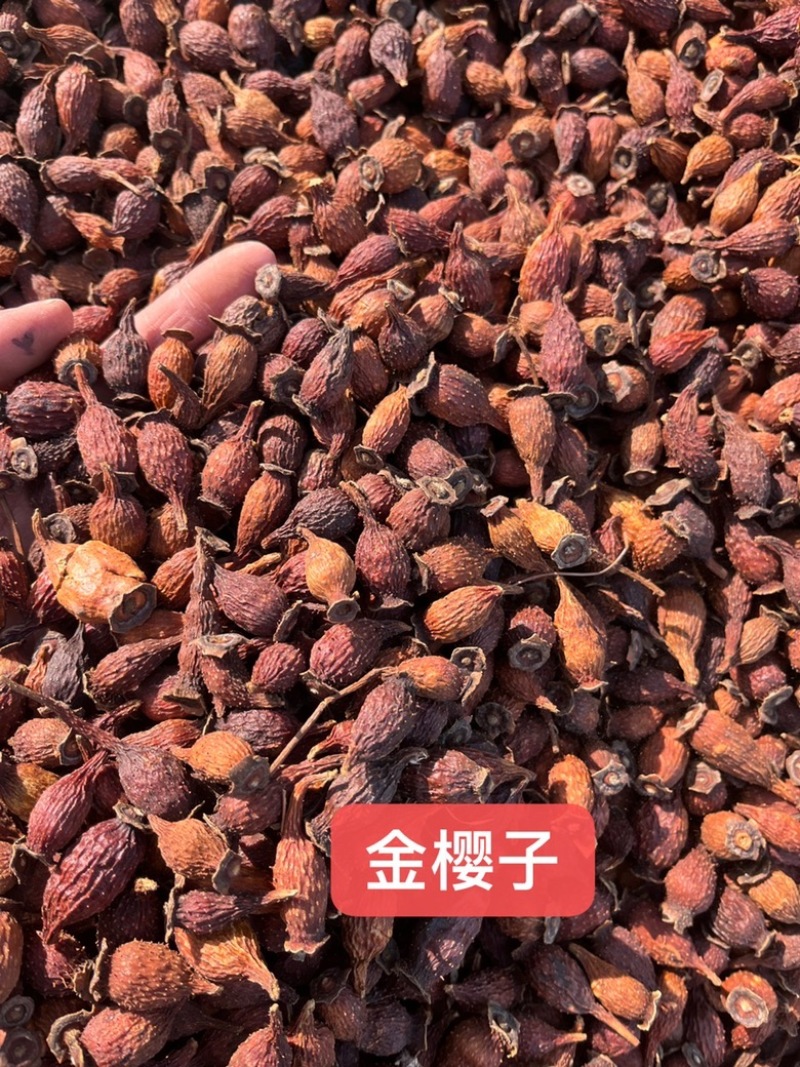 【文斌药业】金樱子金樱子个好货在线交易地道药材