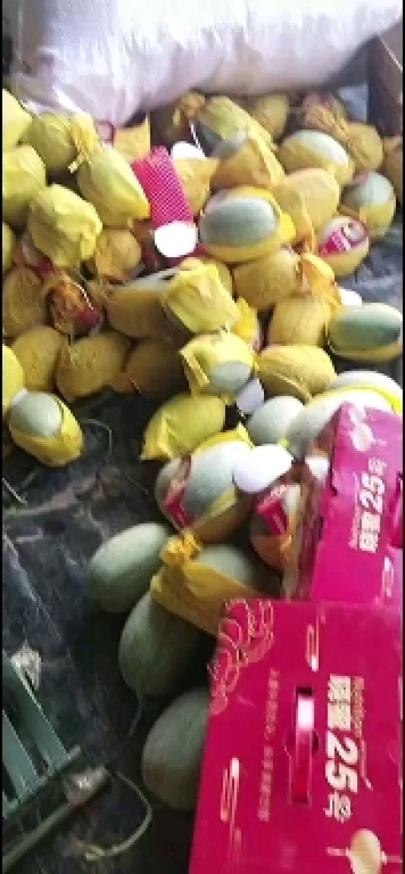 海南晓蜜25哈密瓜，产地一手货源货源，量大从优，货源充足