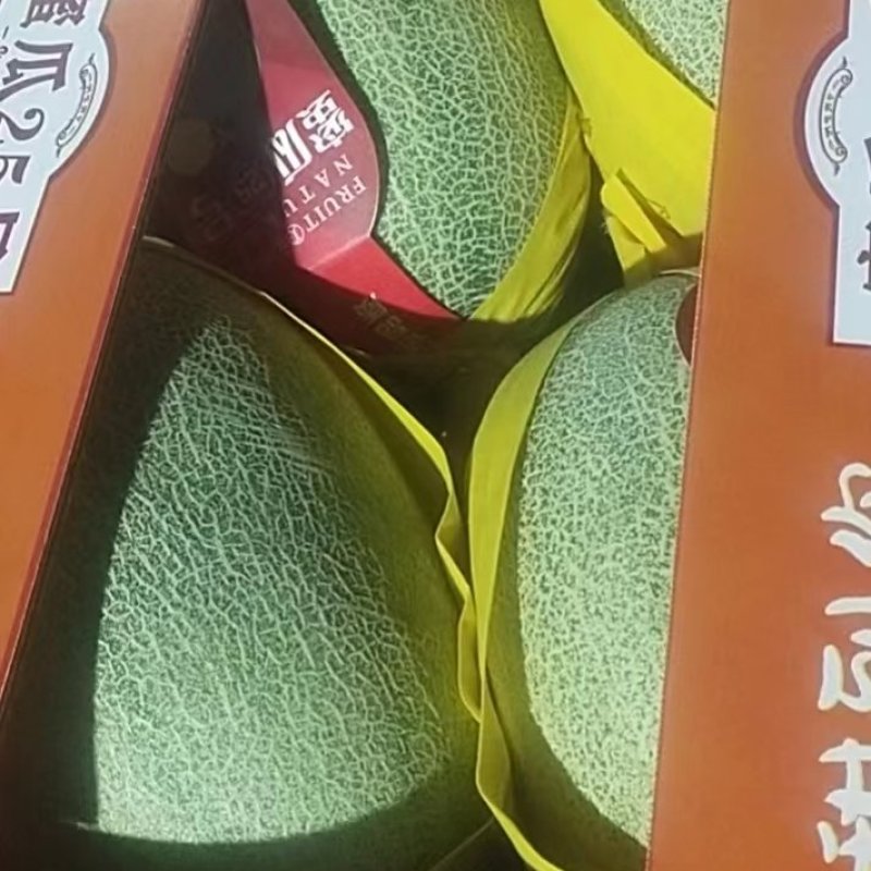 海南晓蜜25哈密瓜，产地一手货源货源，量大从优，货源充足