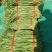 云南西双版纳精品豇豆大量上市，需要的老板联系我
