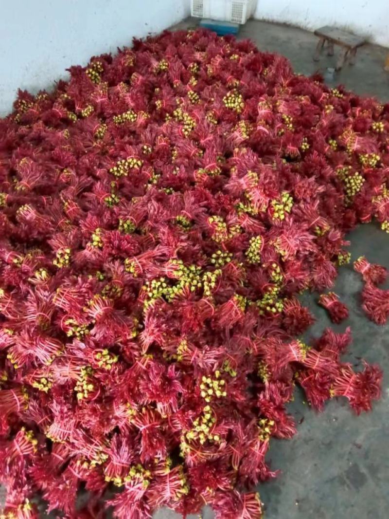 香椿芽红油香椿芽春天红春新鲜上市