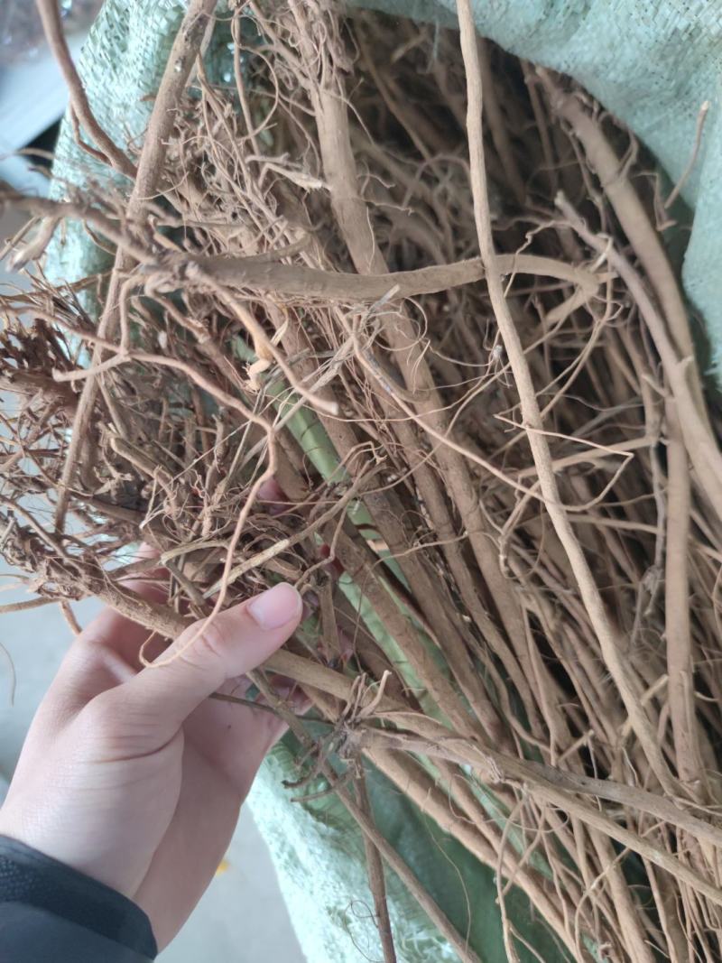 村里人拿来的千斤拔干货产地直发特价足干